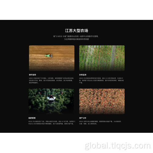 China Test product watermelon Manufactory